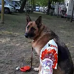 캠프장 Ancora 코마키오