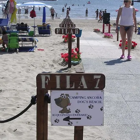 Ancora