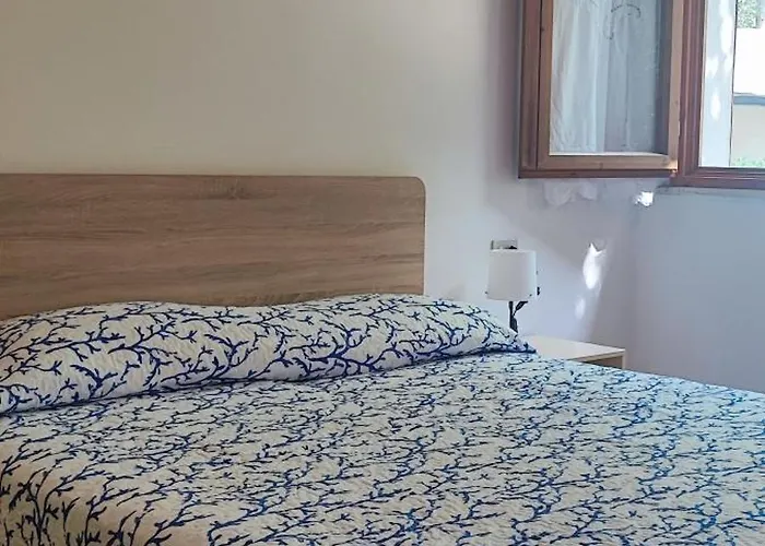 Camping Ancora Camping 2*