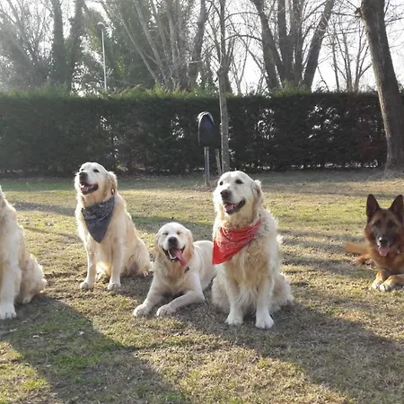 אתר קמפינג Ancora