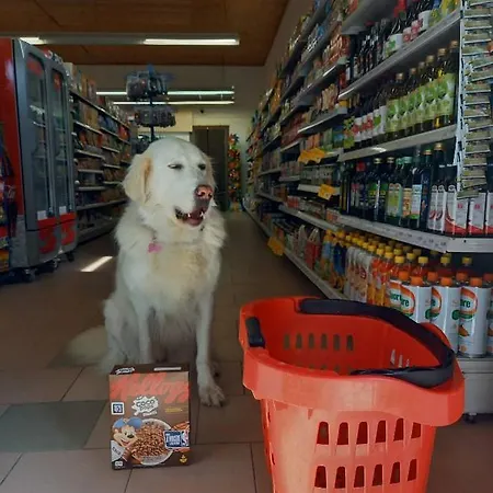 Ancora אתר קמפינג קומאקיו