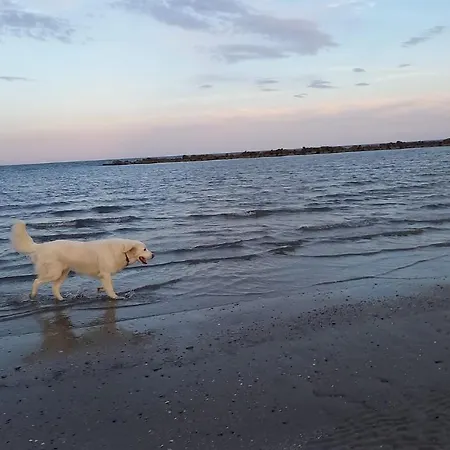 Ancora Campingplatz 2*