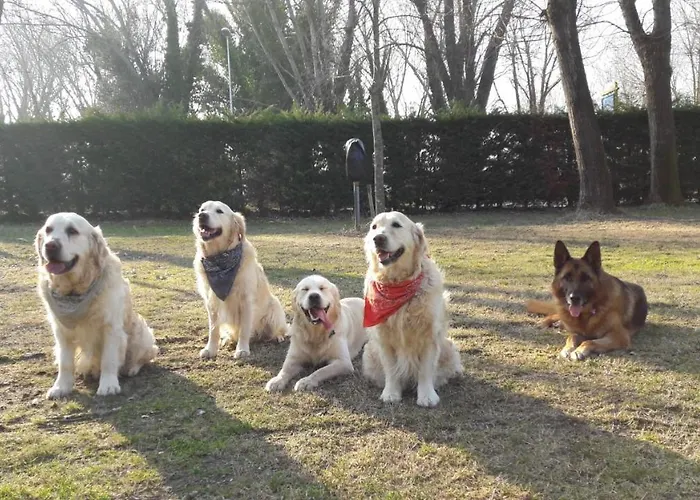 Кемпинг Ancora