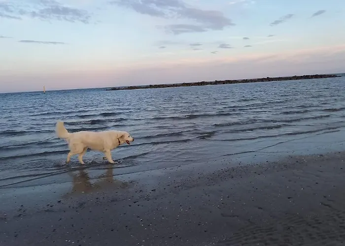 Ancora Кемпинг 2*