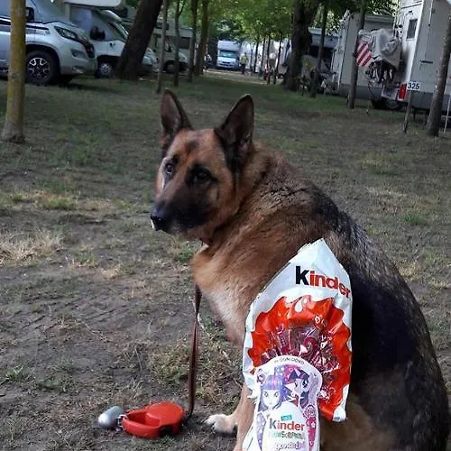 Кемпинг Ancora Комаккьо