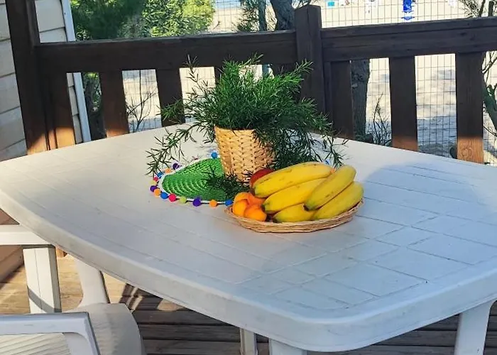 Ancora キャンプ場