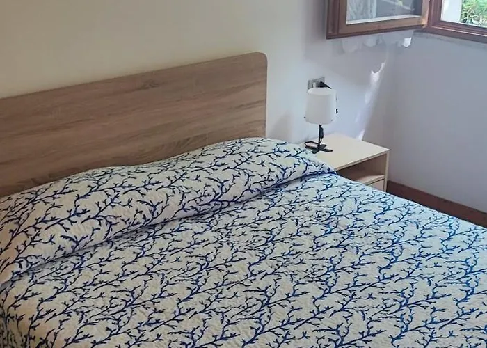 Ancora キャンプ場