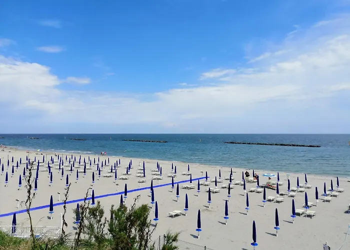 Ancora キャンプ場