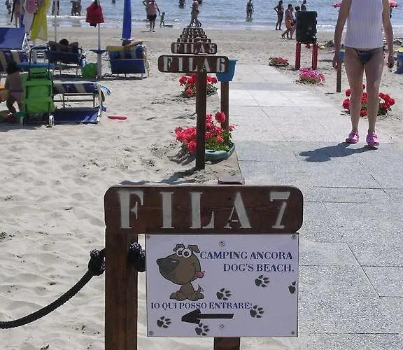 Ancora